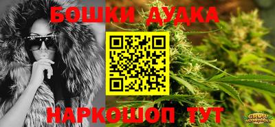 индика Краснознаменск