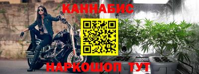 индика Краснознаменск