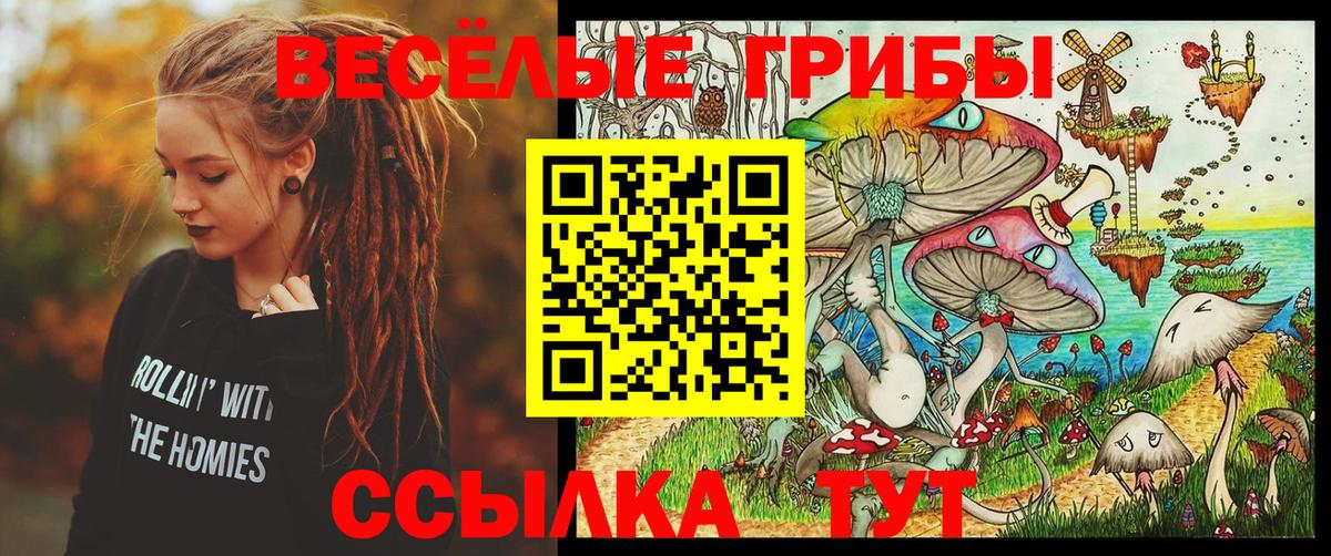 Псилоцибиновые грибы GOLDEN TEACHER Заволжье