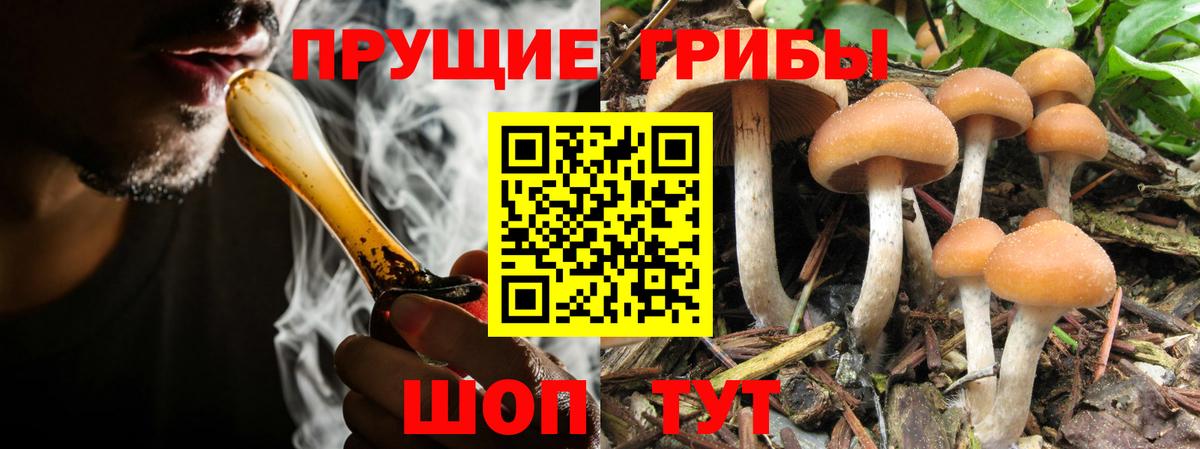 Галлюциногенные грибы ЛСД  Вход с VPN  где продают наркотики  Заволжье  Галлюциногенные грибы MAGIC MUSHROOMS 