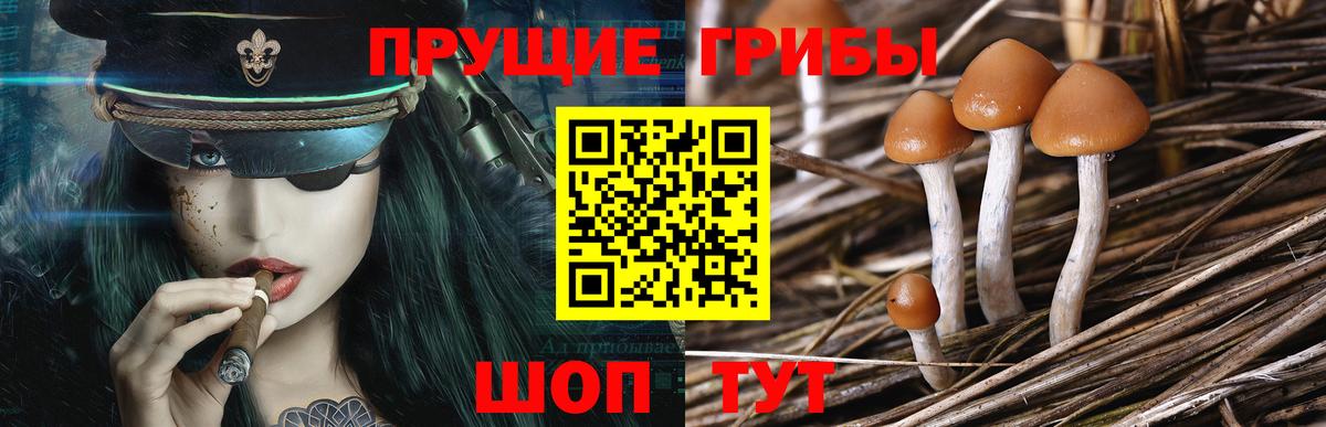 Канабис  Лсд 25  Кокаин  ГАШ  Заволжье  Вход с VPN  Меф  